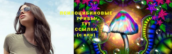 прущая мука Алзамай